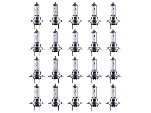 20X Era H7 12V 55W Px26D Halogen GlüHbirnen Lampen Scheinwerferlampen-image