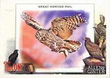 2023 Topps Allen & Ginter #TT-7 GREAT HORNED OWL TALONTED