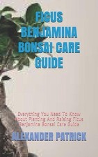 Ficus Benjamina Bonsai Care Guide: Everything You Need To Know About Planting An