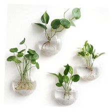 Wall Propagation Planters Pack Oblate Hanging Plant Holder Vase 4