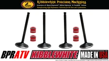 Suzuki LTR450 LTR 450 Stock Kibblewhite Intake & Exhaust Valves & KPMI RED Seals
