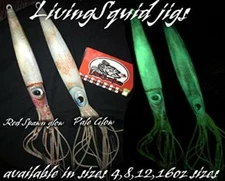 Lingcod jigs New LivingSquid lure glow jigging slow pitch fall flat bluefin tuna
