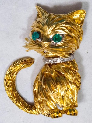 white gold cat