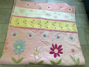 Pottery Barn Kids Daisy Garden Quilt 85 X85 Two Sided Reversible