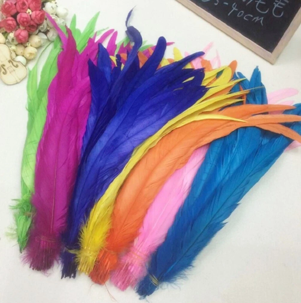 Long coloured feathers cheap