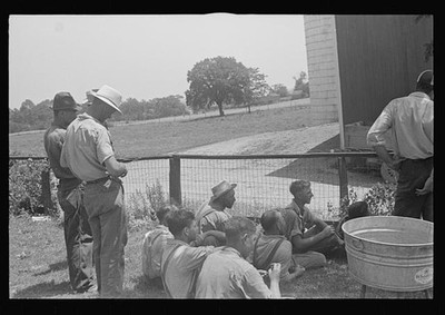 Central Ohio OH 1930s Threshing Crew Waiting for Second Table Farm Workers
