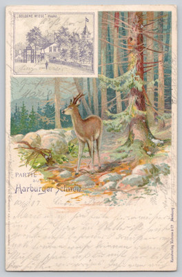 Postcard - Partie aus Harburger Schweiz - Painting of Deer in Woods