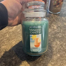 Yankee Candle Original Classic Large Jar Single Wick Candle 22 oz You Pick🔥🎁