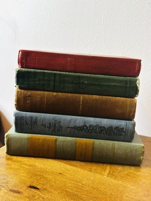 Vintage hardcover illustrated early 1900 books