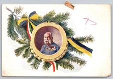 Emperor Franz Josef I Portrait Medallion Pine Branches WWI Austria Postcard