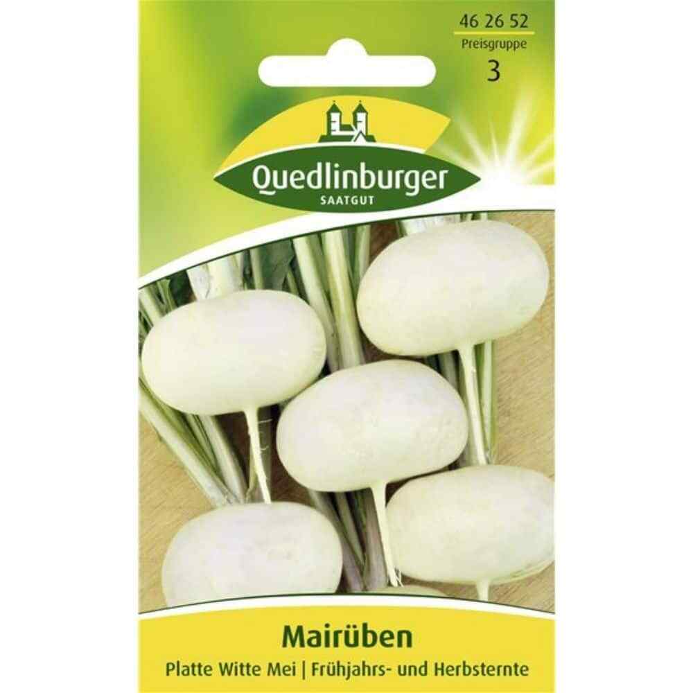 Mairbe Platte witte (Flache weie) fr ca. 500 Pflanzen Samen Saatgut Rbe