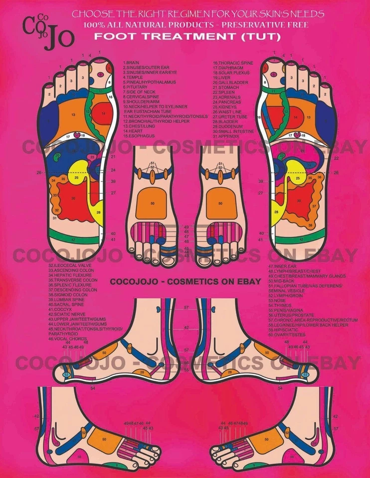 32 Oz óleo marroquino de argan não refinado 100 argônio puro prensado a frio grau A, 100 puro - Imagem 3 de 4