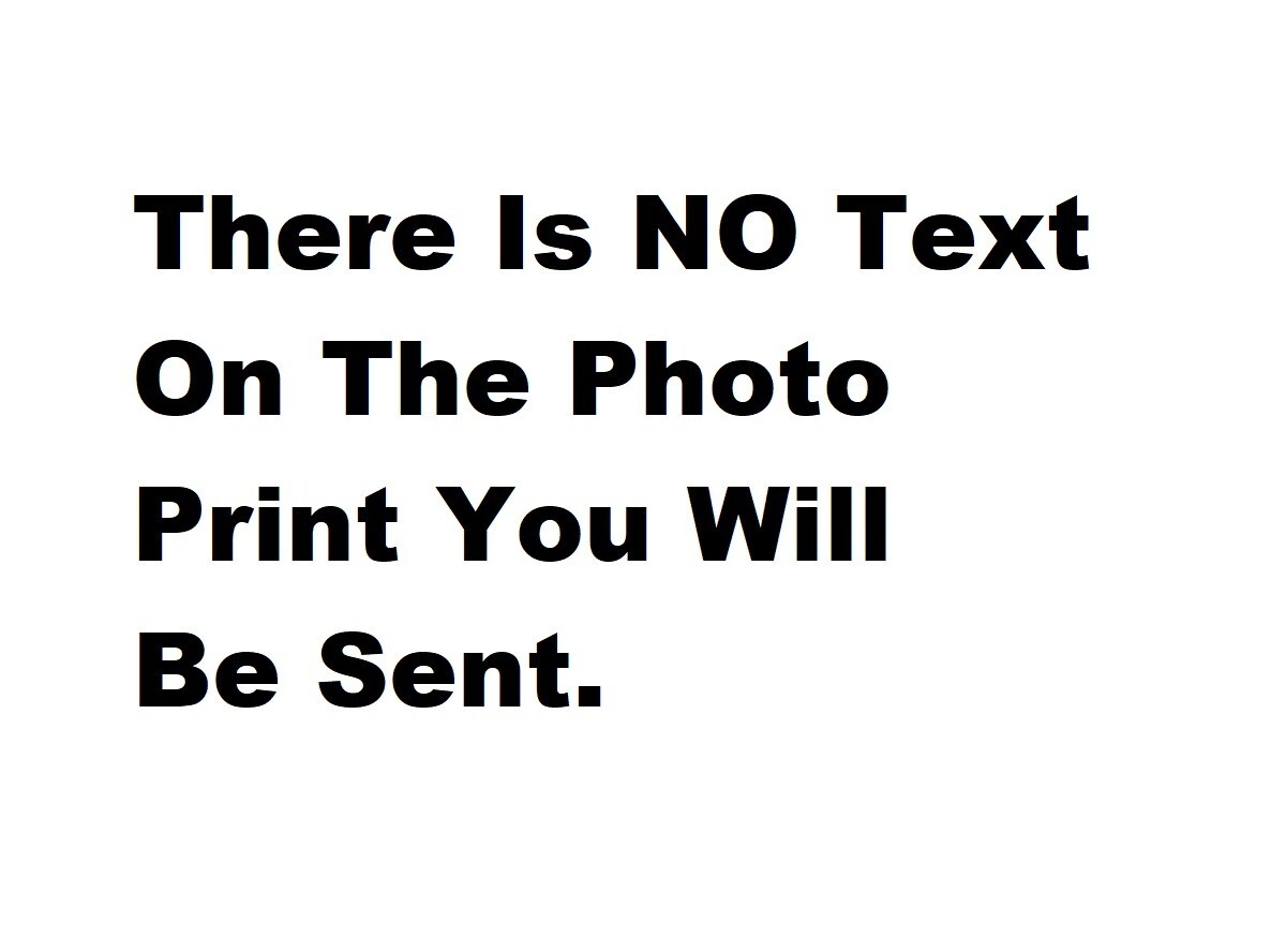 Sexy Female Big Butt Busty Women Cute Naked Wife Photo Model 5X7 Print A433 | eBay