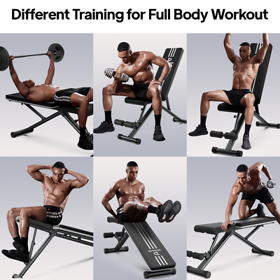 Barbell Bench Press Barbell Exercises Without Rack Chest Workout