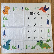 Dinosaur Baby Monthly Milestone Blanket for Baby Boy