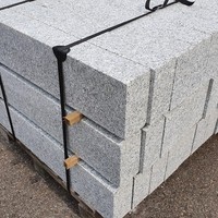 Granit Bordstein Naturstein 10 X 20 X 100 Cm Leistenstein Grau
