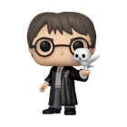 Funko Harry Potter Pop! & Buddy Harry Potter with Hedwig