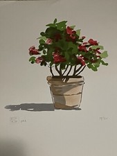 quadro Aldo Riso "profumo di ibiscus" serigrafia a 15 colori  50x70