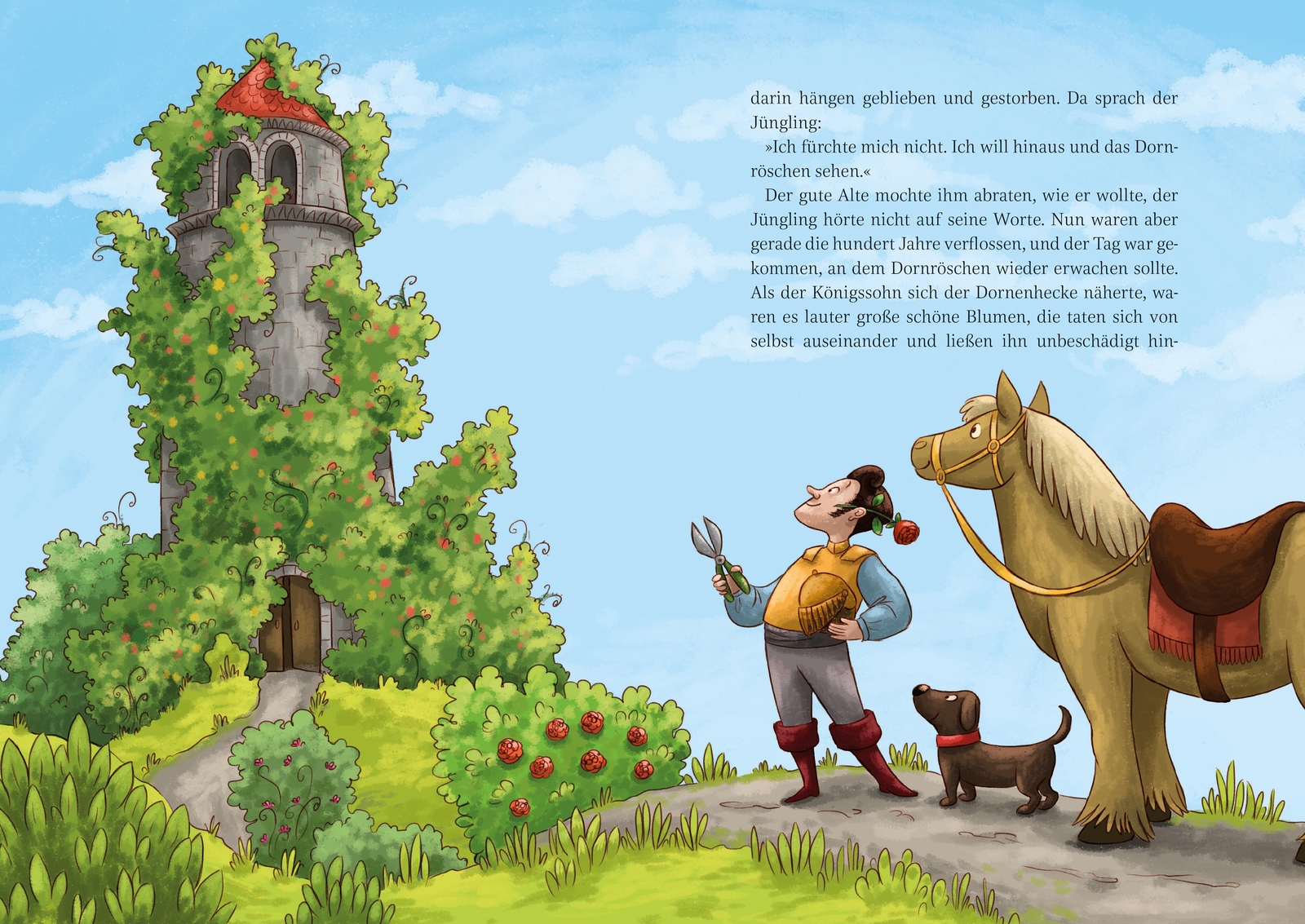 Thumbnail - Die Schönsten Märchen Der Brüder Grimm, Mit Mp3-cd, Jacob Und Wilhelm