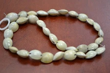 60 PCS SMALL MINI GREEN COWRIE SHELL BEADS PENDANTS 1/2" - 5/8"