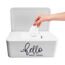 Hello Sweet Cheeks Flushable Wipes Holder Baby Wipes Dispenser Container Cute...