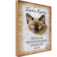 Holzschild 18X12 Cm Tonka Katze Tier Haustier Deko Geschenk Holz Schild