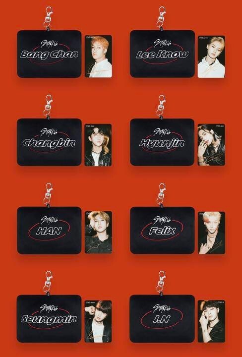 Stray Kids SKZ Scars FURYU PRIZE Must Buy Campaign Pass case
