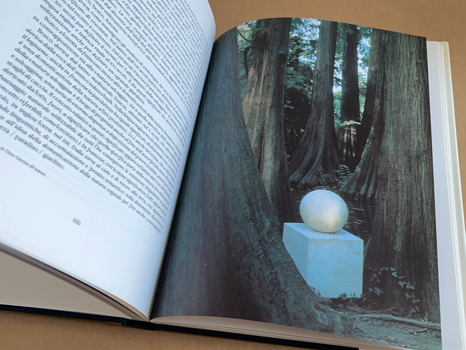 Virgilio Vercelloni - L'AVVENTURA DEL DESIGN: DINO GAVINA - Jaca Book 1987