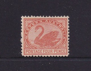 WESTERN AUSTRALIA 1908: M 4d pale chestnut Swan (Crown/A wmk · perf.12½) SG142a