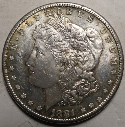 1881 S Morgan Dollar / Uncirculated