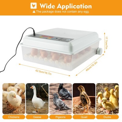 Egg Incubator 64 Eggs Fully Digital Automatic Hatcher Fits Hatching Chicken Farm