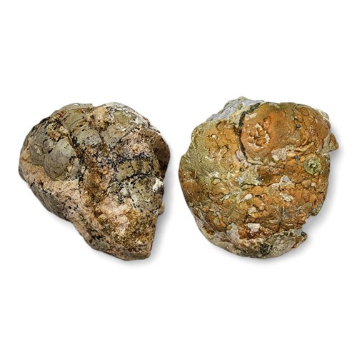 Geode Solid Nodules Oregon 284.4 grams. 2 Piece Lot - Picture 3 of 3