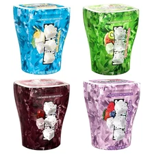 Icecube Sugar-Free Chewing Gum Variety Pack – 4 Bottles Assorted Flavors, 40 Pie