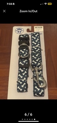 Dog collar Leash Set for your dog yes