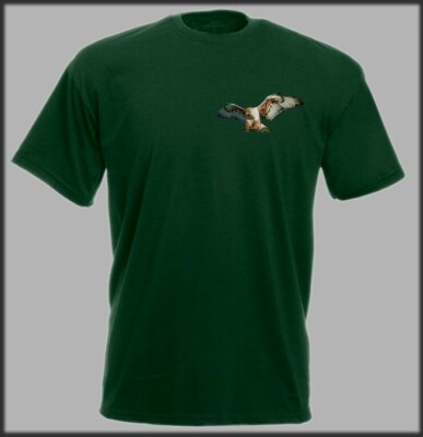 FALKE RAUBVOGEL T-SHIRT HARRIS FALKE ADLER FALKE GREIFVOGEL JAGD 