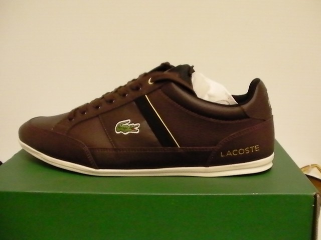 lacoste brown