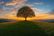 Digital Image art pic photo picture wallpaper 