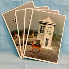 Assateague Island State Park Sika Deer - Lot of 4 Postcards