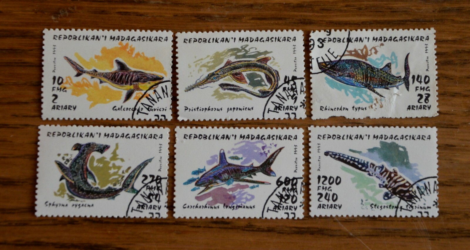 Foto 1 di 1