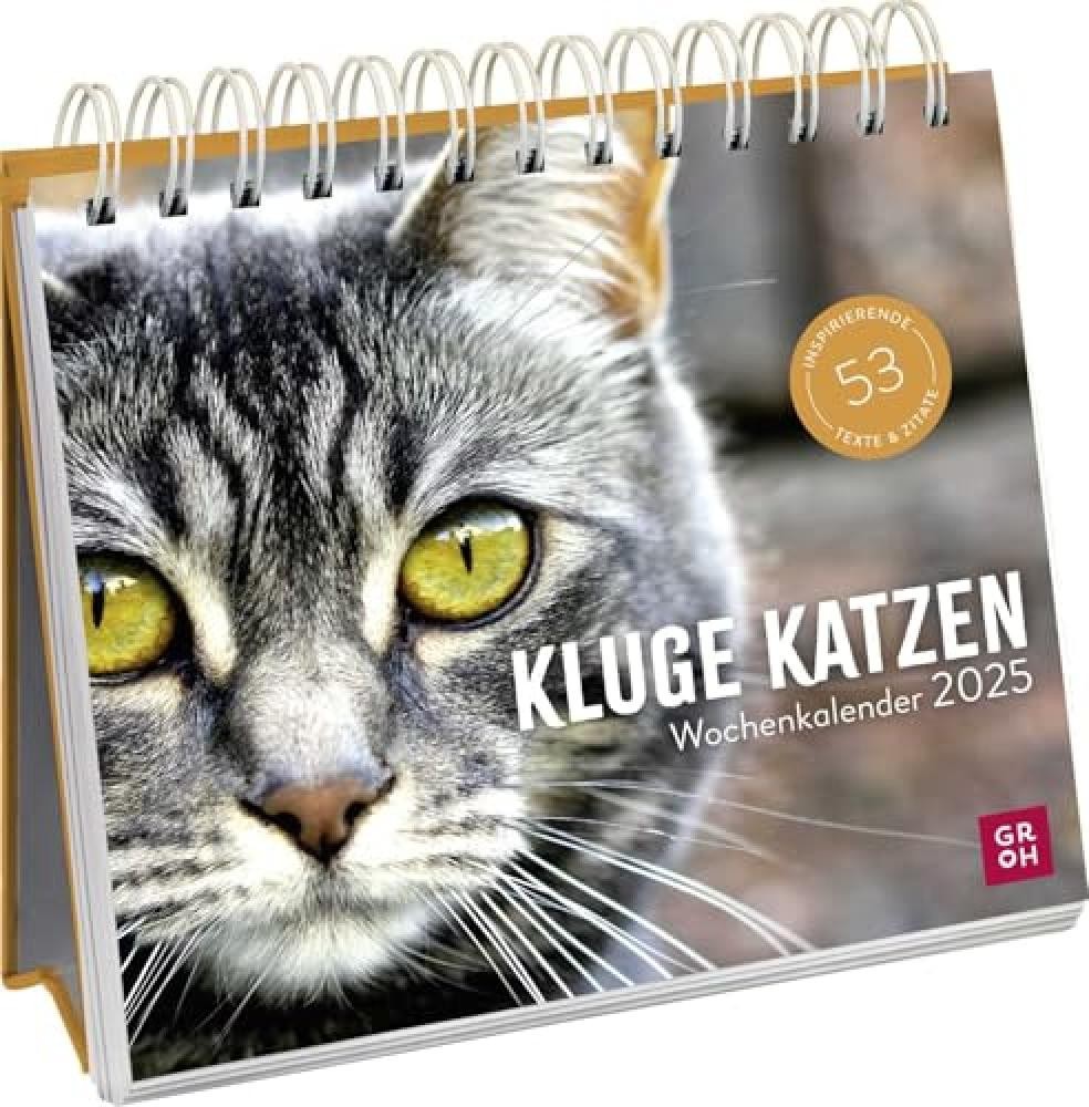 Wochenkalender 2025: Kluge Katzen: Katzenkalender zum Aufstellen mit Wochenkalen