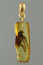 GIANT Fossil SNIPE FLY Genuine BALTIC AMBER Gold Plated Silver Pendant 260319-9