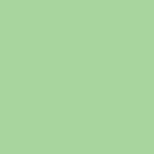 Savage Widetone Seamless Background Paper 40 Mint Green, 107" x 36'