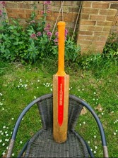Cricket Bat Size 5. Authentic Graynicolls Cricket Bat.