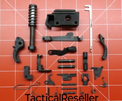 Springfield XDM-45 XDM 45 acp Parts Lot: Trigger, Recoil Spring, Pins & More