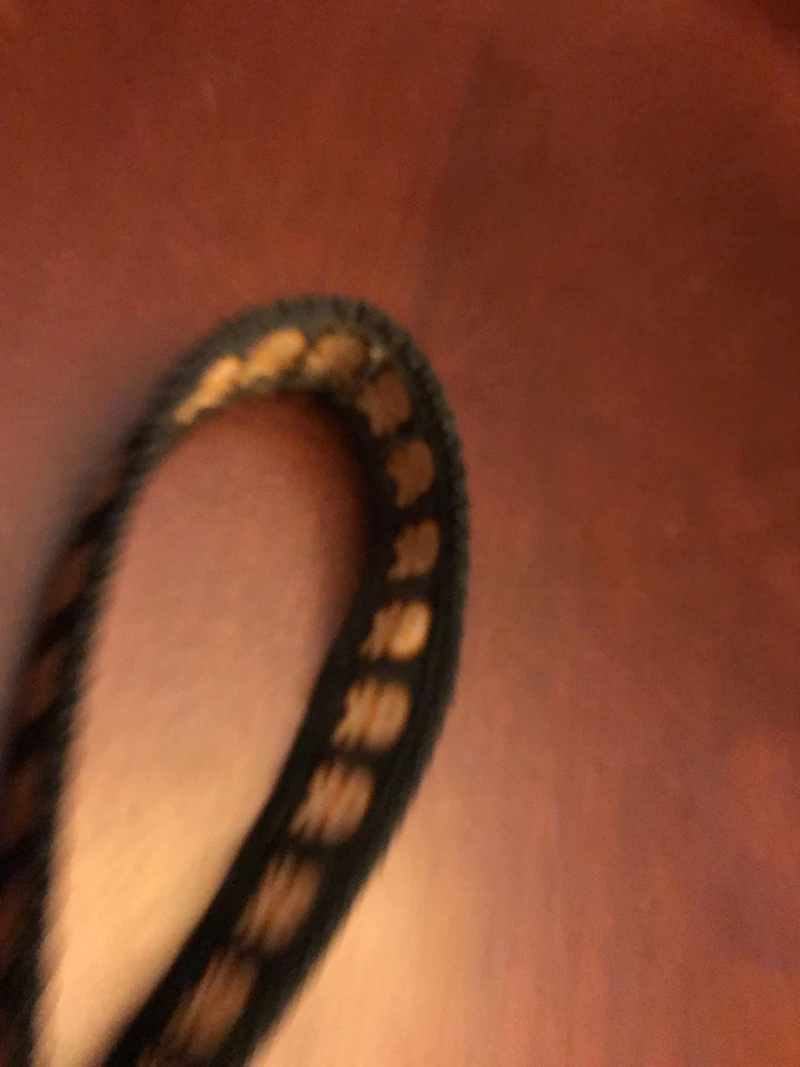 Correa para perro Old Navy negra y naranja calavera brillante en la oscuridad, perros medianos o grandes Foto 4 de 4