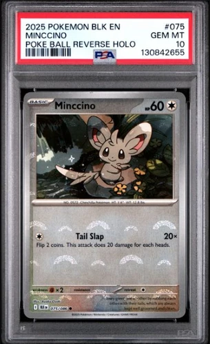 Minccino (Poke Ball Pattern) 075/086 Sv: Black Bolt Holo PSA 10