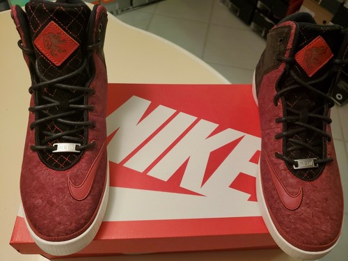 cork lebron shoes