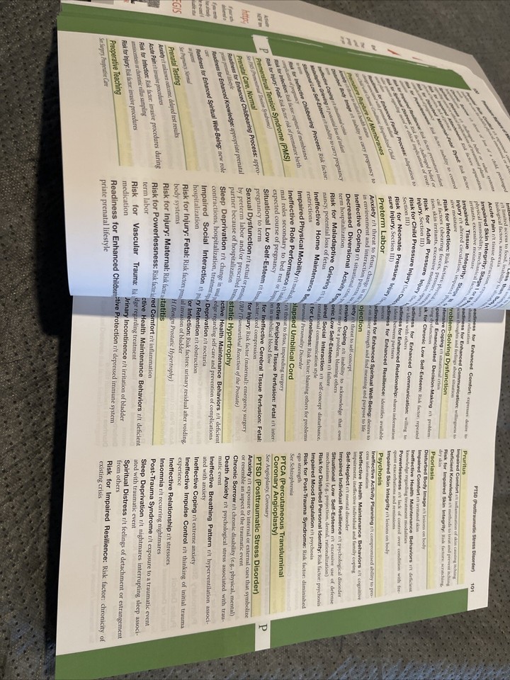 Ackley And Ladwig s Nursing Diagnosis Handbook 13th Ed 9780323776837 ackley-and-ladwig-s-nursing-diagnosis-handbook-13th-ed-9780323776837