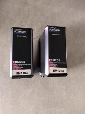 1pc used I/A SERIES module FBM205 #E1