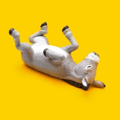 Figur Esel Ane Dornröschen Zoo Zoo Zoo Dorntier Figur Japan Gashapon
